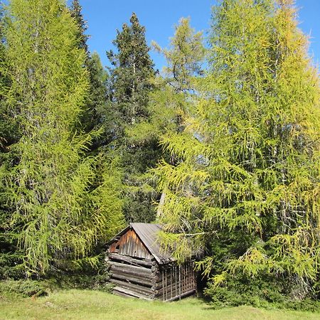 Pepis Ferienwohnungen Inklusive Sommercard Jerzens Exterior foto